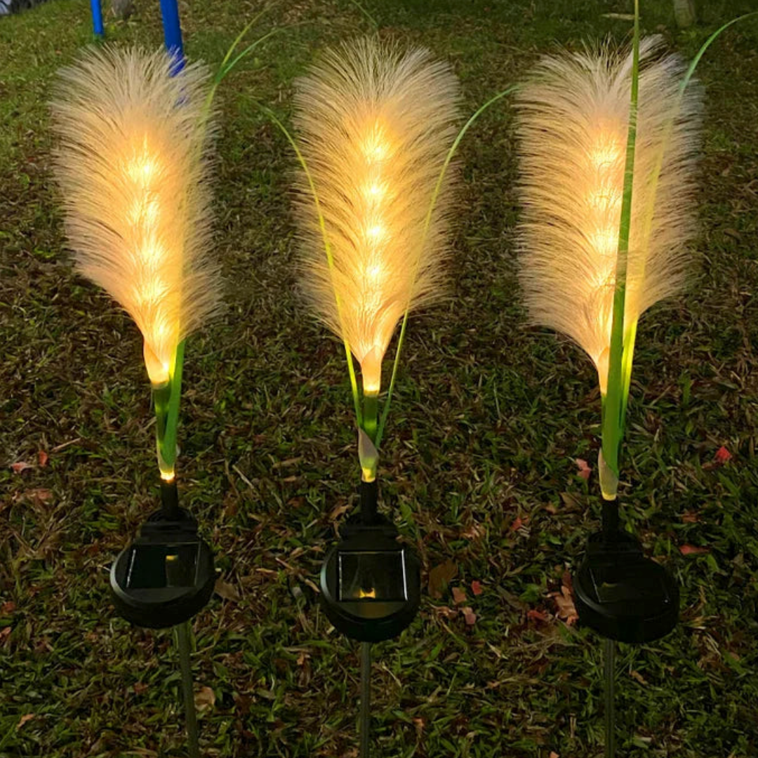solar-garden-lights-decorative-fibre-optic-outdoor-lighting-for-home-glaveri