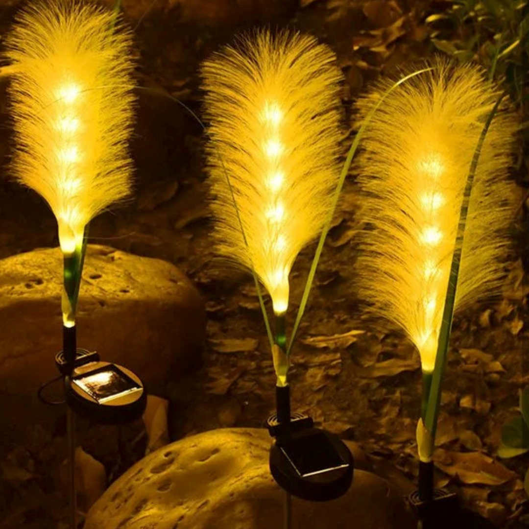 solar-garden-lights-decorative-fibre-optic-outdoor-lighting-for-home-glaveri